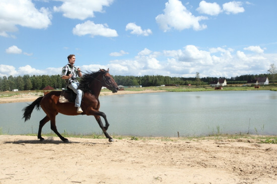 Pferdreiten reiten