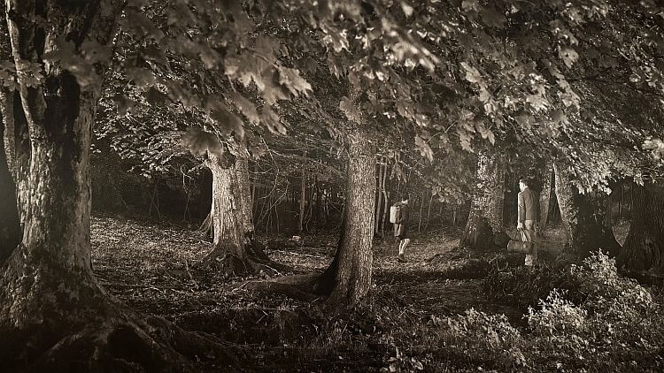 Foto 'In der Abenddämmerung' uit de serie Im Wald van Erwin Olaf